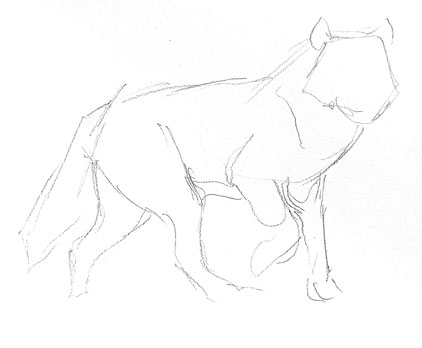 wolf-drawing-easy-step-by-step-outline-how-to-draw