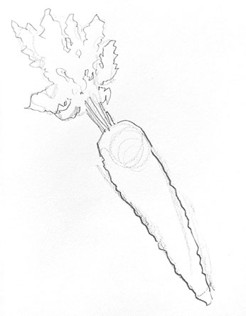carrot-drawing-easy-how-to-draw-step-by-step-outline