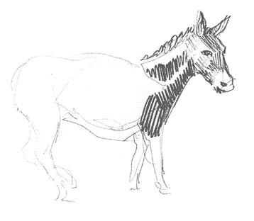donkey-drawing-easy-outline-how-to-draw-step-by-step
