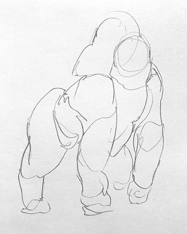 gorilla-drawing-easy-outline-how-to-draw-step-by-step