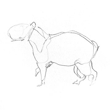 capybara-drawing-easy-step-by-step-how-to-draw-outline