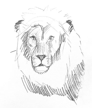 how-to-draw-lion-face-drawing-head-mane-fun-cool-sketch
