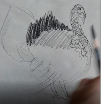 how-to-draw-turkey-step-by-step-easy-drawing-sketching-sketch