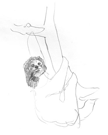 sloth-drawing-easy-how-to-draw-step-by-step-unique-fun-cool-cute-kids