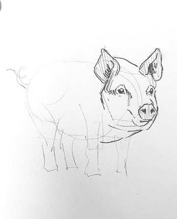pig drawing-easy-outline-how-to-draw-step-by-step-fun-cute-cool-scary