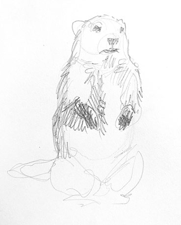 how-to-draw-ground-hog-drawing-funny-cute-cool-fun-sketch-sketching-step-by-step