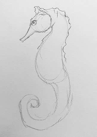 seahorse-drawing-easy-step-by-step-how-to-draw-sea-horse-urchin-fish-ocean-underwater