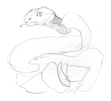 snake-drawing-easy-how-to-draw-step-by-step-snakes-animal-cute-cool-fun-nature-sketch
