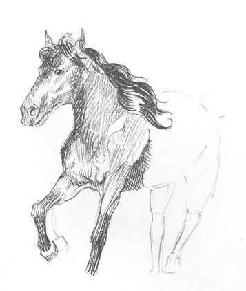 how-to-draw-horse-easy-step-by-step-fast-donkey-farm-animal-realistic-shading-beginner-kids-fun
