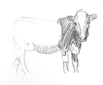 how-to-draw-cow-drawing-easy-step-by-step-sketch-sketching-farm-animal-moo-milk-pencil-realistic