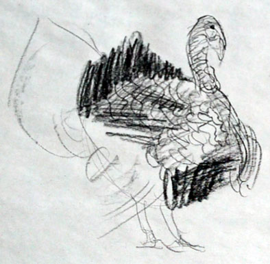 how-to-draw-turkey-step-by-step-easy-drawing-sketching-sketch-tutorial-simple-quick-basic-beginner