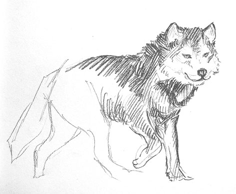 wolf-drawing-easy-step-by-step-outline-how-to-draw-head-sketch-tutorial-dog-hound-artic-winter-howl-moon-werewolf