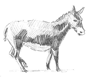 donkey-drawing-easy-outline-how-to-draw-step-by-step-illustrator-vector-artist-drawer-learn-quick-hard-animal-farm