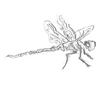 dragonfly-drawing-easy-outline-how-to-draw-step-by-step-simple-realistic-fast-hard-bug-insect-bugs-insects-fly-dragon