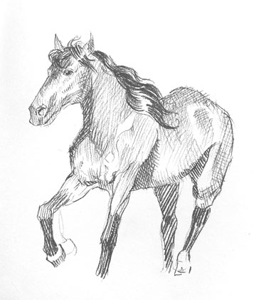 how-to-draw-horse-easy-step-by-step-fast-donkey-farm-animal-realistic-shading-beginner-kids-fun-simple-pencil-pen-sketch