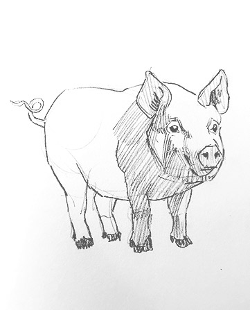 pig-drawing-easy-outline-how-to-draw-step-by-step-fun-cute-cool-scary-sketch-pad-art-line-board-online-animated-drawings