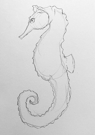 seahorse-drawing-easy-step-by-step-how-to-draw-sea-horse-urchin-fish-ocean-underwater-sketch-sketching-animal-pencil-rough