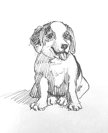 puppy-drawing-easy-outline-how-to-draw-step-by-step-fun-cute-cool-scary-sketch-pad-art-line-board-online-animated-drawings