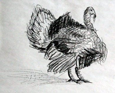 how-to-draw-turkey-step-by-step-easy-drawing-sketching-sketch-tutorial-simple-quick-basic-beginner-art-artwork-fast-draws-turkeys-kids-adult
