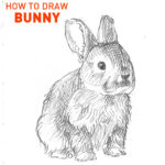 how-to-draw-bunny-rabbit-drawing-easy-simple-quick-step-by-step-sketch-fun-kids-animals-shading-beginner-realistic-fluffy-cute-cool-hare-pet-fur-hair-farm