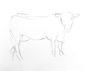 how-to-draw-cow-drawing-easy-step-by-step