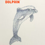 how-to-draw-dolphin-drawing-easy-step-by-step-tutorial-realistic-shading-quick-animal-fish-mammal-swimming-jumping-pencil-pen-coloring-beginner-illustrator-vector