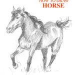 how-to-draw-horse-easy-step-by-step-fast-donkey-farm-animal-realistic-shading-beginner-kids-fun-simple-pencil-pen-sketch-galloping-animals-realism-tutorial-sketching