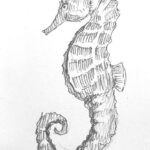 seahorse-drawing-easy-step-by-step-how-to-draw-sea-horse-urchin-fish-ocean-underwater-sketch-sketching-animal-pencil-rough-beach-swim-fishing-cool-cute-fun-fast-hard