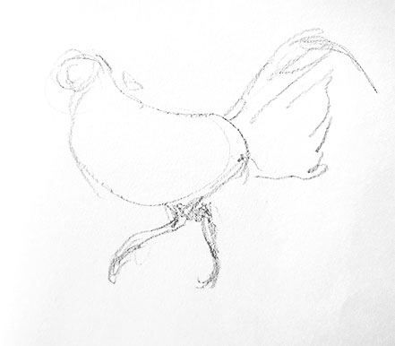 chicken-drawing-easy