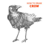 crow drawing easy step by step how to draw outline simple quick fast fun kids beginner sketch sketching art bird birds cute animals realistic shading pencil