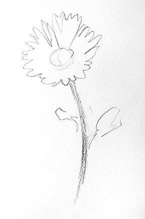daisy-drawing-flower-outline-easy