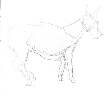donkey-drawing-easy-outline