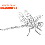 dragonfly drawing easy outline how to draw step by step simple realistic fast hard bug insect bugs insects fly dragon learn fun beginners artist drawer quick tutorial