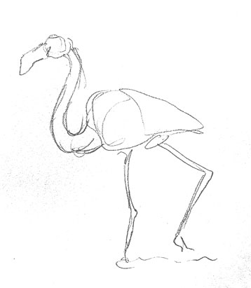 flamingo-drawing-easy-outline