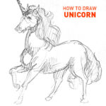 how to draw unicorn drawing sketch sketching outline horse realistic cute cool fun beginner advanced pencil fantasy creature galloping learn running mystical illustrator design