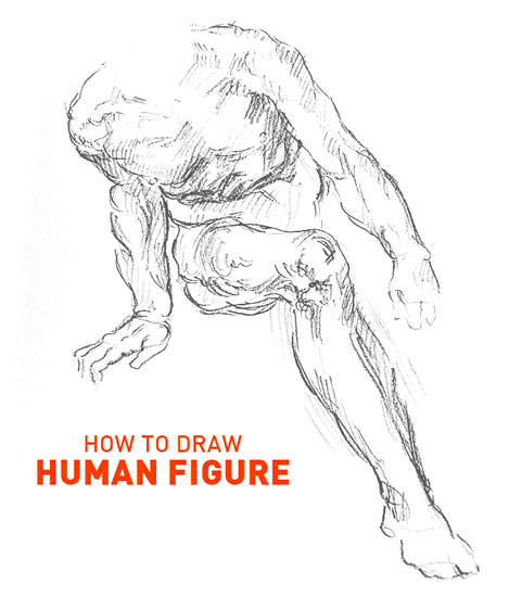 how to draw a human figure drawing realistic anatomy for art learn step by step steps good beginners sketch sketching tutorials michelangelo person hyper draw pro people classical