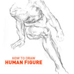 how to draw a human figure drawing realistic anatomy for art learn step by step steps good beginners sketch sketching tutorials michelangelo person hyper draw pro people classical