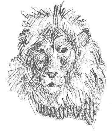 how-to-draw-lion-face-drawing-head-mane-fun-cool-sketch-learn-animal-illustrator-animals-lions-realistic-step-by-step-sketch-sketching-steps-portrait