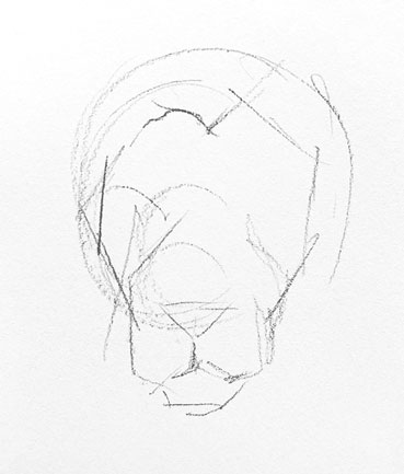 how-to-draw-lion-face