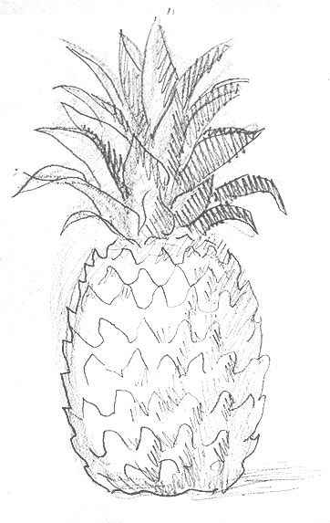 pineapple-drawing-outline-how-to-draw-step-by-step-learn-to-pine-apple-fruit-spiky-easy-simple-hard-fast-beginner-advanced-tutorial-ninja