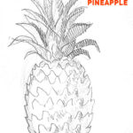 pineapple-drawing-outline-how-to-draw-step-by-step-learn-to-pine-apple-fruit-spiky-easy-simple-hard-fast-beginner-advanced-tutorial-ninja-leafs-quick-pencil-sketch-sketching-artist-drawer