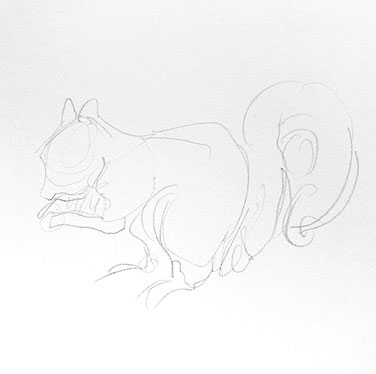 squirrel-drawing-easy-outline