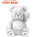 teddy bear drawing easy how to draw step by step sketch sketching outline realistic unique cool fun cute fast quick line pencil teddies bears simple beginners kids stuffed animals