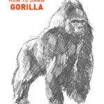 gorilla drawing easy outline how to draw step by step sketch sketching beginners kids fun cute cool animals ape great monkey king kong vs 100 glorilla simple hard gorillas