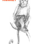 monkey drawing easy how to draw step by step sketch sketching realistic monkeys animals outline simple fast quick fun cute cool unique line pencil pen kids beginners hard