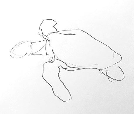 sea-turtle-drawing-easy-how-to-draw