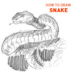 snake drawing easy how to draw step by step snakes animal cute cool fun nature sketch sketching simple line outline unique tangled wrapped quick fast hard slither