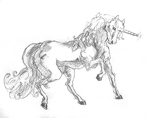 unicorn-drawing-easy-outline-how-to-draw-step-by-step-fun-cute-cool-scary-sketch-pad-art-line-board-online-animated-drawings-websites-tablet-fish-sketches-doodling-gesture-beginners-simple