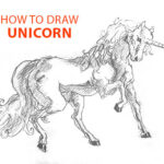 unicorn-drawing-easy-outline-how-to-draw-step-by-step-fun-cute-cool-mystical-sketch-pad-art-line-board-online-animated-drawings-websites-tablet-fish-sketches-doodling-gesture-beginners-simple