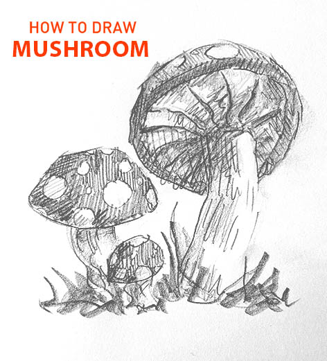Mushroom drawing easy STEP BY STEP how to draw
